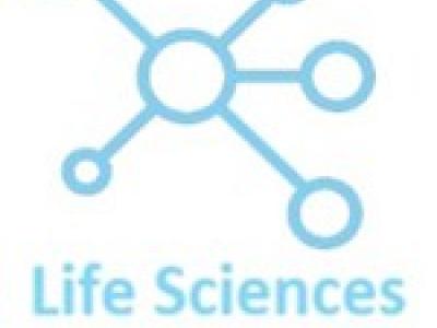 logo LSNTT