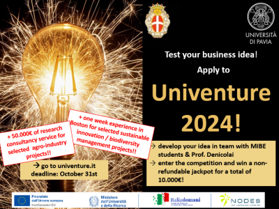 Locandina Univenture 2024 finale